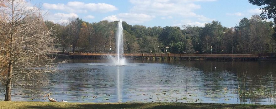 Lake Lily Park