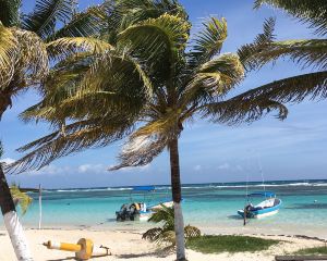香港-切圖馬爾 機票酒店 自由行