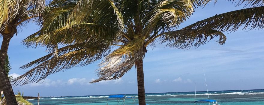 Mahahual Beach