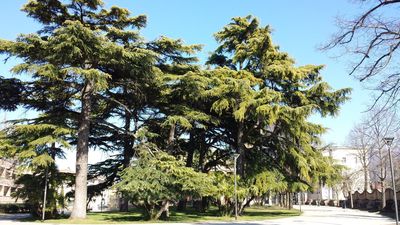 Parco dei Canape
