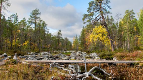 Pielpajärvi Wilderness Church