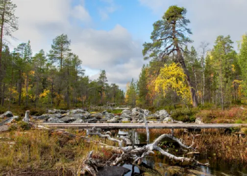 Pielpajarvi Wilderness Church