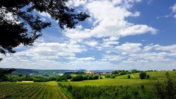 Orvieto