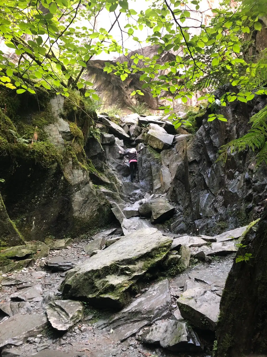 Hotels near Cathedral Cave