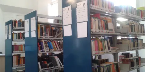 Biblioteca Publica Estadual Estevao De Mendonca