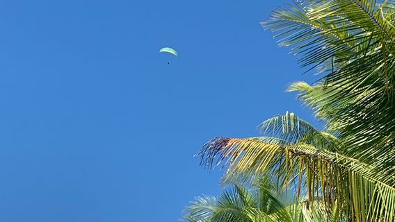 Paraglide Hawk Adventures
