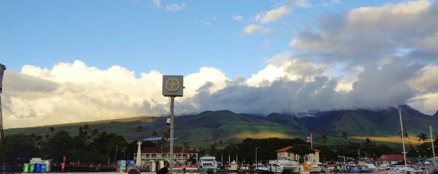 Lahaina Cruise Company