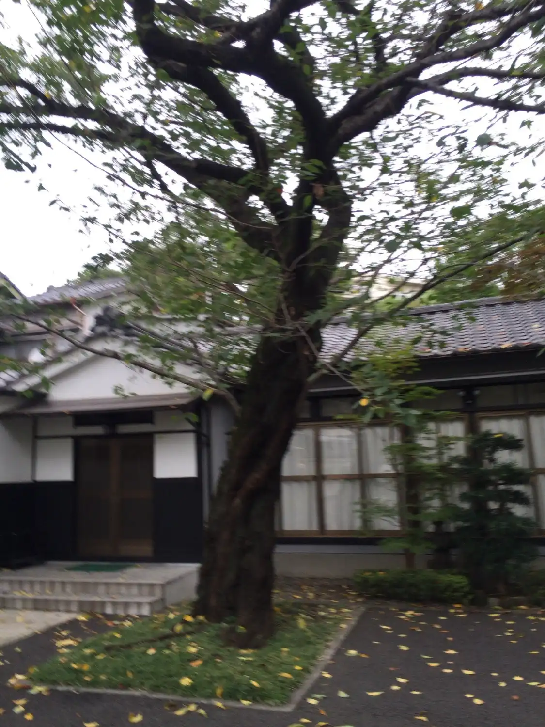 Hongyoin Temple 주변 호텔