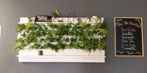 The Bunny Hop Haven