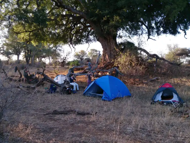 Hotels in Marloth Park