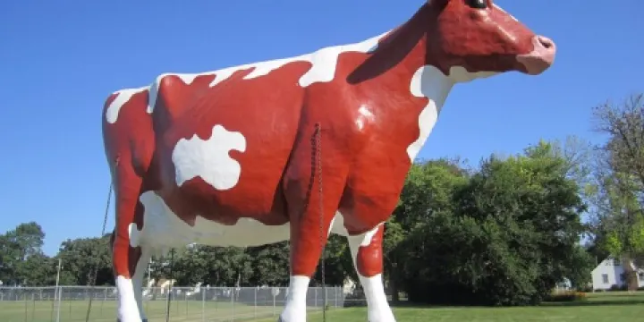 Buffy the Cow