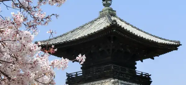 Hotels in Setouchi