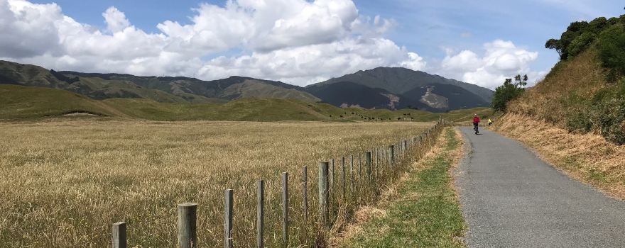 Te Ara o Whareroa Trail