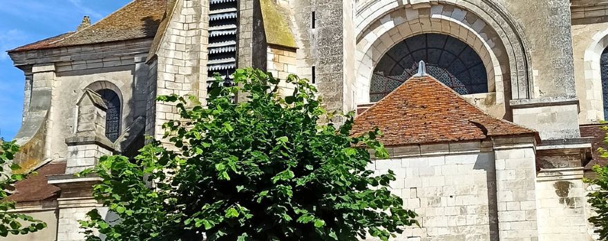 Coulanges-la-Vineuse