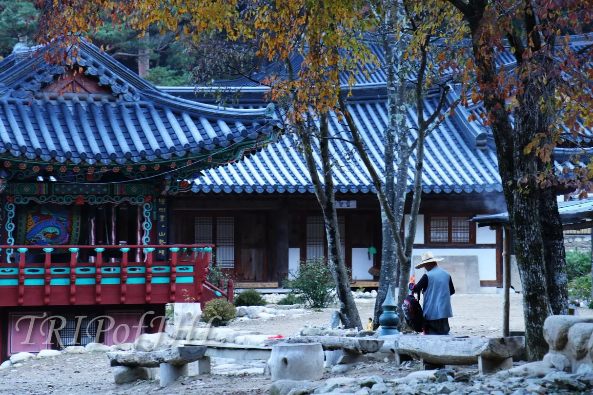 1_長谷-