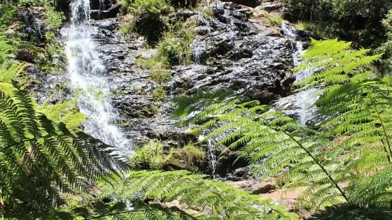 Wombelano Falls