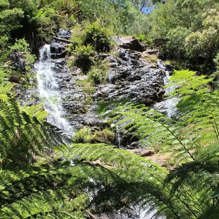 Kinglake