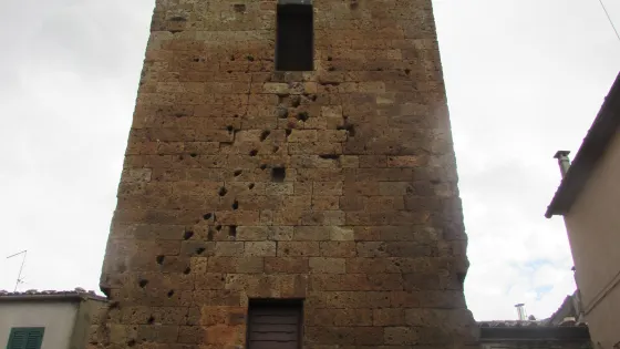 Torre Monaldeschi