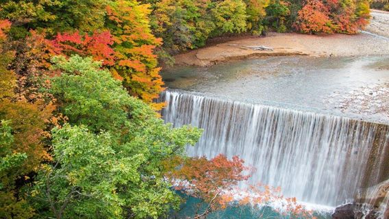 Mori no Ohashi Bridge