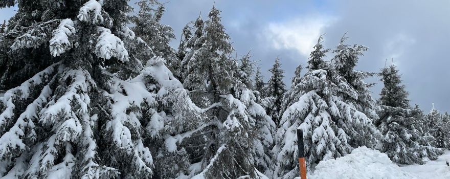 Oberwiesenthal