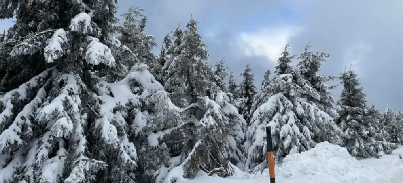 Hotels in Oberwiesenthal