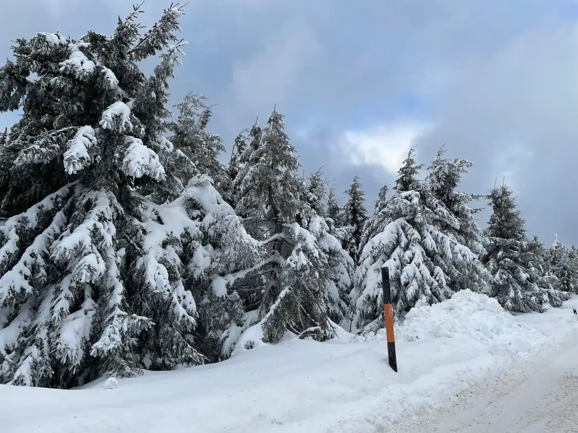 Hotels near Fichtelberg