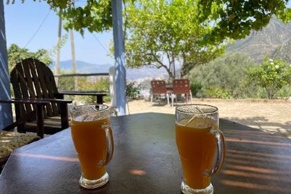 Café Panorama Loubar