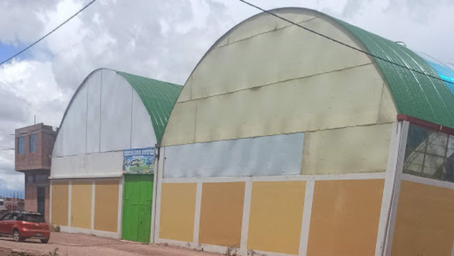 Cancha Grass balon de oro.