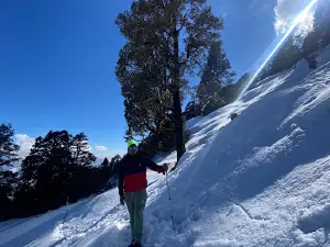 Khaliya top Munsiyari
