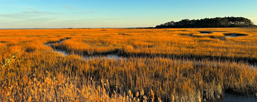 Eastern Shore Of Virginia National Wildlife Refuge Visitor Center