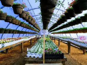 Alwerdt's Gardens LLC