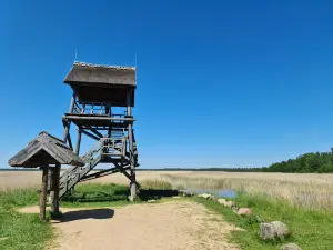 Kaņiera ezera niedru taka (Kaņiera Lake Reed Trail)