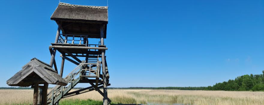 Kaņiera ezera niedru taka (Kaņiera Lake Reed Trail)