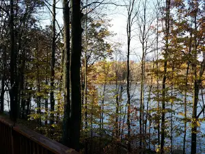 Forest Lake Property Owners