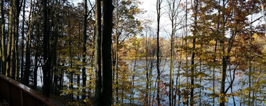 Forest Lake Property Owners