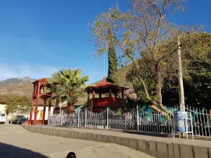 DOLORES CHIHUAHUA