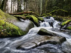 Lerautal bei Leuchtenberg