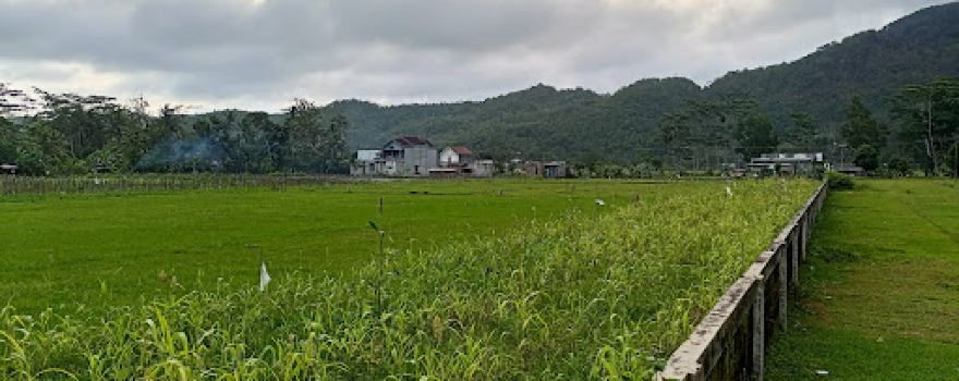 Village Field Tanjungpuro