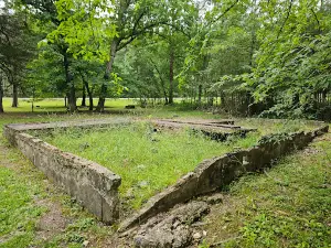 Hollis CCC Camp