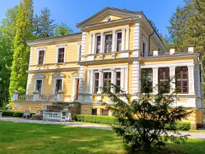 Antonína Dvořáka Memorial