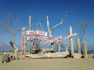 Bacsil Onse Reef Sand Dunes (Entrance Way)