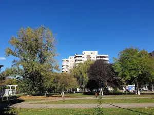 Parcul Tineretului