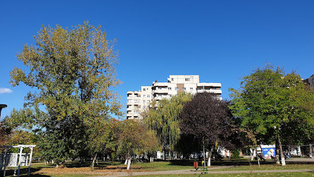Parcul Tineretului