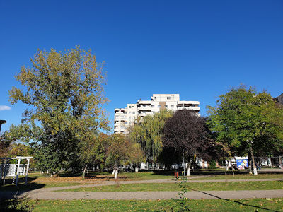 Parcul Tineretului