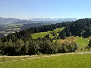 Campinggarten Wahlwies