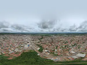 Bosque Buriti