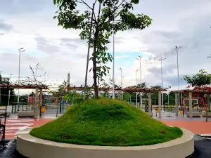 Animal Conservation Park