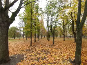 Park