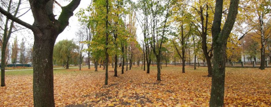 Park
