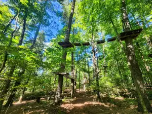 Treetop Trekking 1000 Islands